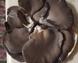 Foto del passaggio 1 della ricetta Cardoncelli al forno
