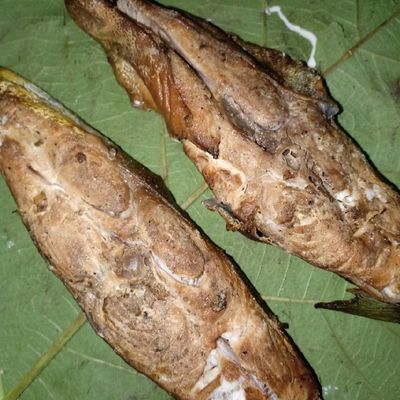 Langkah 4