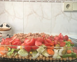Foto del paso 2 de la receta: Ensalada de Garbanzos