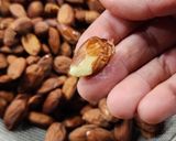 Foto del paso 2 de la receta: ✨Pasta de almendras tostadas ✨ Miti-miti: natural y cacao ✨