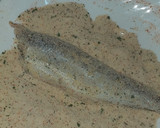 Foto del paso 1 de la receta: Pescadilla con pan rallado