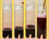 Foto del paso 2 de la receta: Tinto de Verano