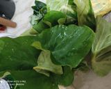 अरबी के पत्ते की सब्जी (arbi ke patte ki sabzi recipe in Hindi) रेसिपी चरण 1 फोटो