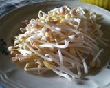 Foto langkah ke 8 dari resep 22. Taoge/kecambah homemade.
