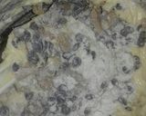 Foto del paso 1 de la receta: Budín Inglés