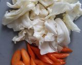 Foto langkah ke 4 dari resep Sayur Sop Lengkap.