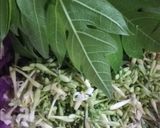 Foto langkah ke 1 dari resep Sayur Paitan.