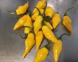 Une image de l'étape 1 de Piments jaunes au vinaigre, ail, pickles, olives et citron.