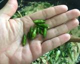 “หมกหมูหน่อไม้ใส่กะทิ” วิธีทำสูตร 5 รูป