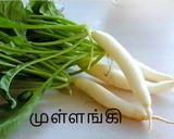 முள்ளங்கி மசாலா சப்பாத்தி ரெசிபி ஸ்டேப் 1 புகைப்படம்
