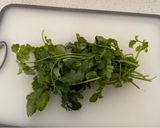 Foto del paso 2 de la receta: Ensalada napolitana con cilantro