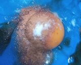 Foto del paso 2 de la receta: Panqueques 🥞 con Harina Integral