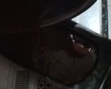 Foto langkah ke 3 dari resep Brownies Panggang Shiny.