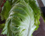 Foto del paso 1 de la receta: Revuelto de repollo