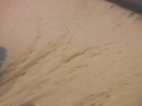 مطلوع معمر