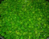 A picture of step 1 of Bhunji huyi Hara Chana.