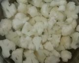 A picture of step 1 of Gobi 65.