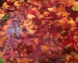A picture of step 2 of Lemon Coriander Beetroot Soup.