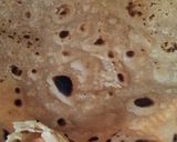 A picture of step 8 of Crispy layerd paratha.