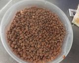 Foto del paso 2 de la receta: Lentejas guisadas