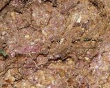 A picture of step 4 of Bihari Dum Qeema.