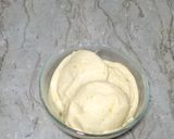 A picture of step 10 of Mango ice cream.