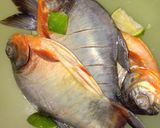 Foto langkah ke 1 dari resep Ikan bawal bakar teflon.