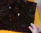 Foto langkah ke 2 dari resep Crispy Seaweed : Garlic Flavor.