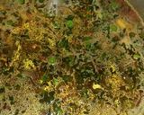 A picture of step 3 of Tasty Lapsi Daliya.