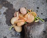 Foto langkah ke 3 dari resep Kuah Bakso Sapi Gurih.