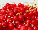 Hình bước làm 2 của món 🌱 Lý Chua Đỏ Xóc Muối Ớt - Ăn Vặt Giảm Cân