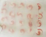 A picture of step 12 of <Jouyo-Wagashi> Macaron Style.