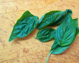 Foto del paso 10 de la receta: Bucatini alla grigia