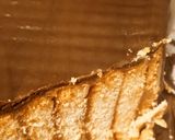 Mascarponés nutellás csíkos kekszes recept fázis 2 fotója