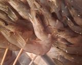 Foto langkah ke 2 dari resep Sate udang bakar.