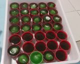 Foto langkah ke 4 dari resep #805. Khanom Leum Kleun Pandan (khas Thailand).