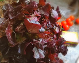 Foto del paso 4 de la receta: Xató, (ensalada de Bacalao, Anchoas y Atún)