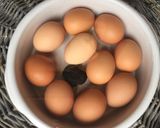 Une image de l'étape 1 de Omelette à la truffe du Périgord.