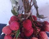 Litchi Lemonade recipe step 1 photo