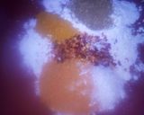 A picture of step 5 of ALU chicken Andy My new creation,.