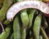 Foto del paso 1 de la receta: Semilla de vaina