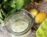 Une image de l'étape 5 de Citronnade menthe fraîche citron 🍋.