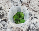 A picture of step 4 of Drying Basil the Fast Way.