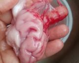 Hình bước làm 1 của món Óc heo chưng bí đỏ cho bé