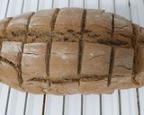 Foto del paso 6 de la receta: Pan de trigo Sarraceno puro