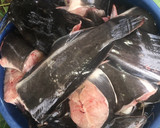 A picture of step 1 of Fish pepper soup.