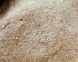 मल्टी आटे की रोटी (multi aate ki roti recipe in Hindi) रेसिपी चरण 2 फोटो