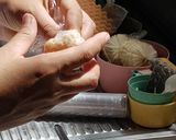รูปขั้นตอนการทำที่ 5 ของ ซูชิข้าวกล้องอกไก่