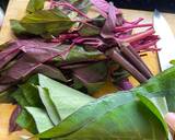 Rushi chi Bhaji recipe step 1 photo