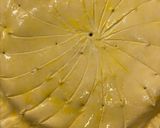 Une image de l'étape 13 de Galette des rois aux noisettes 🌰façon grand mère 🍵.